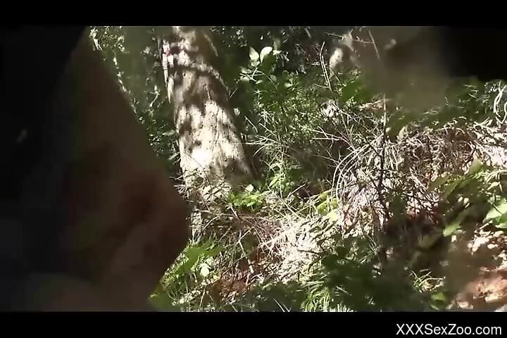 Dog licks man's penis before fucking him in the ass