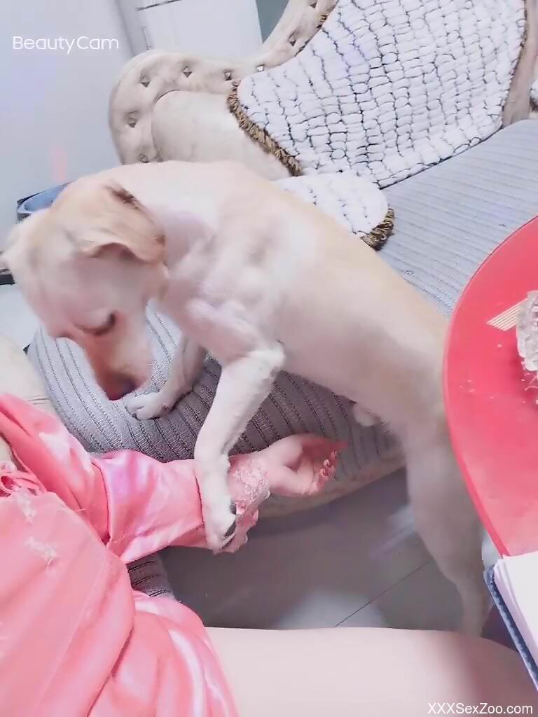 Steamy woman plays by herself and lets the dog lick her