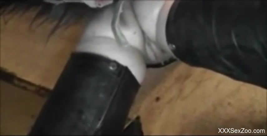 Mature with fat ass tries small horse's big dick in really hot XXX