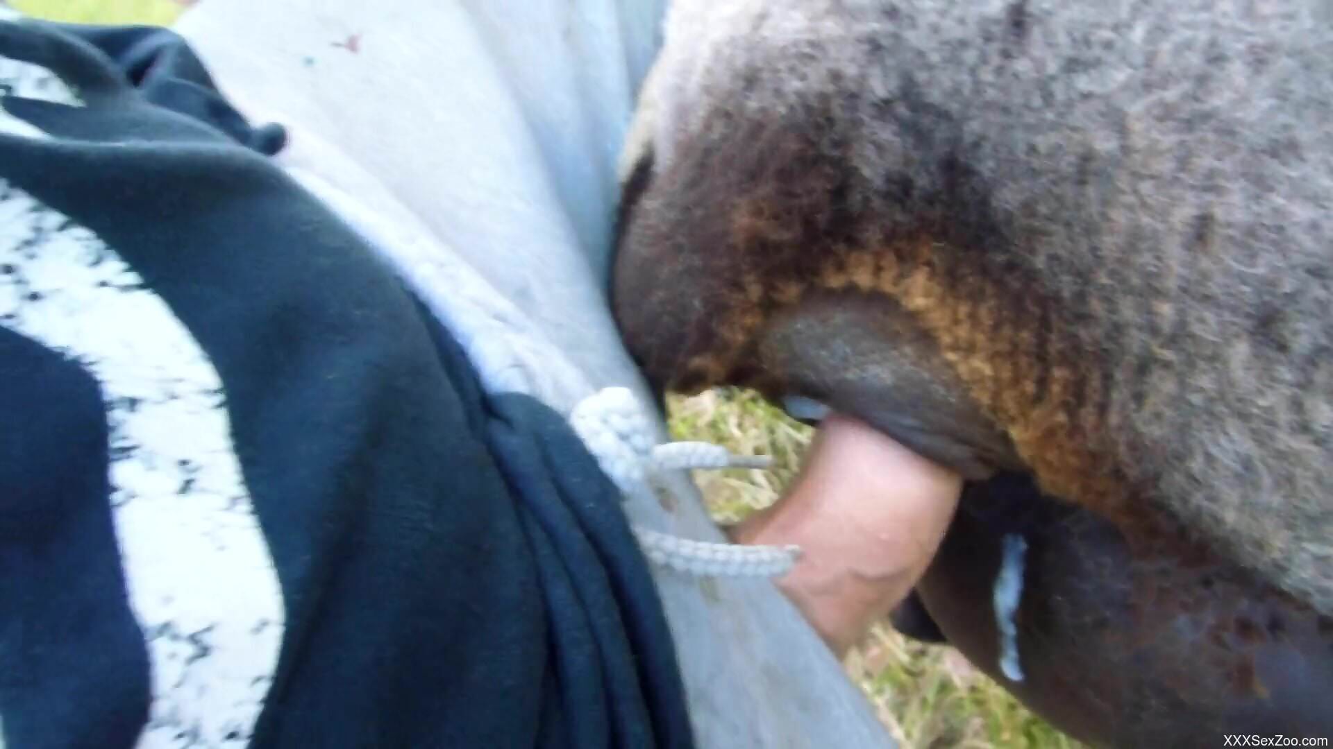 Dude uses his penis to stretch the beast big time