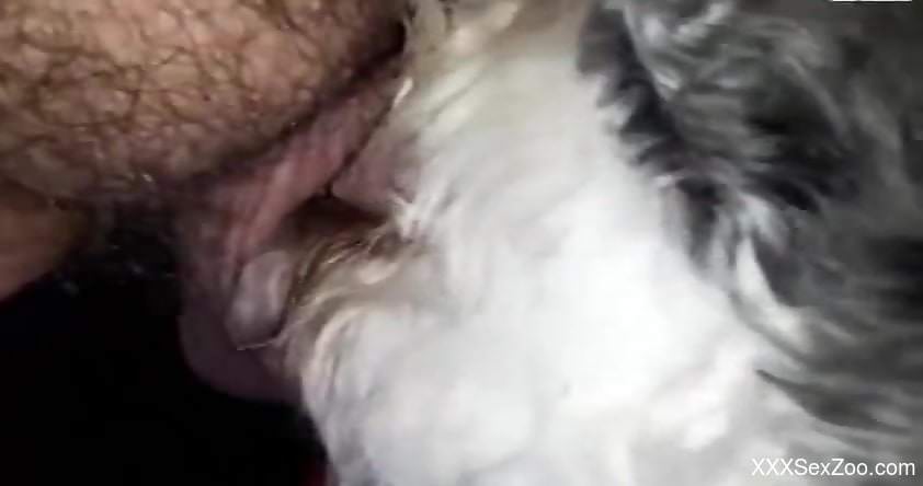 Close-up action with a really thirsty zoophile