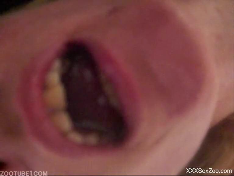 Female zoophilia with amateur slut enjoying insects