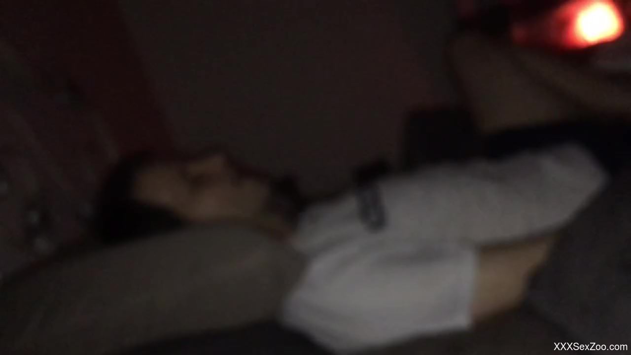 Dog pleases master with licking his dick during home solo