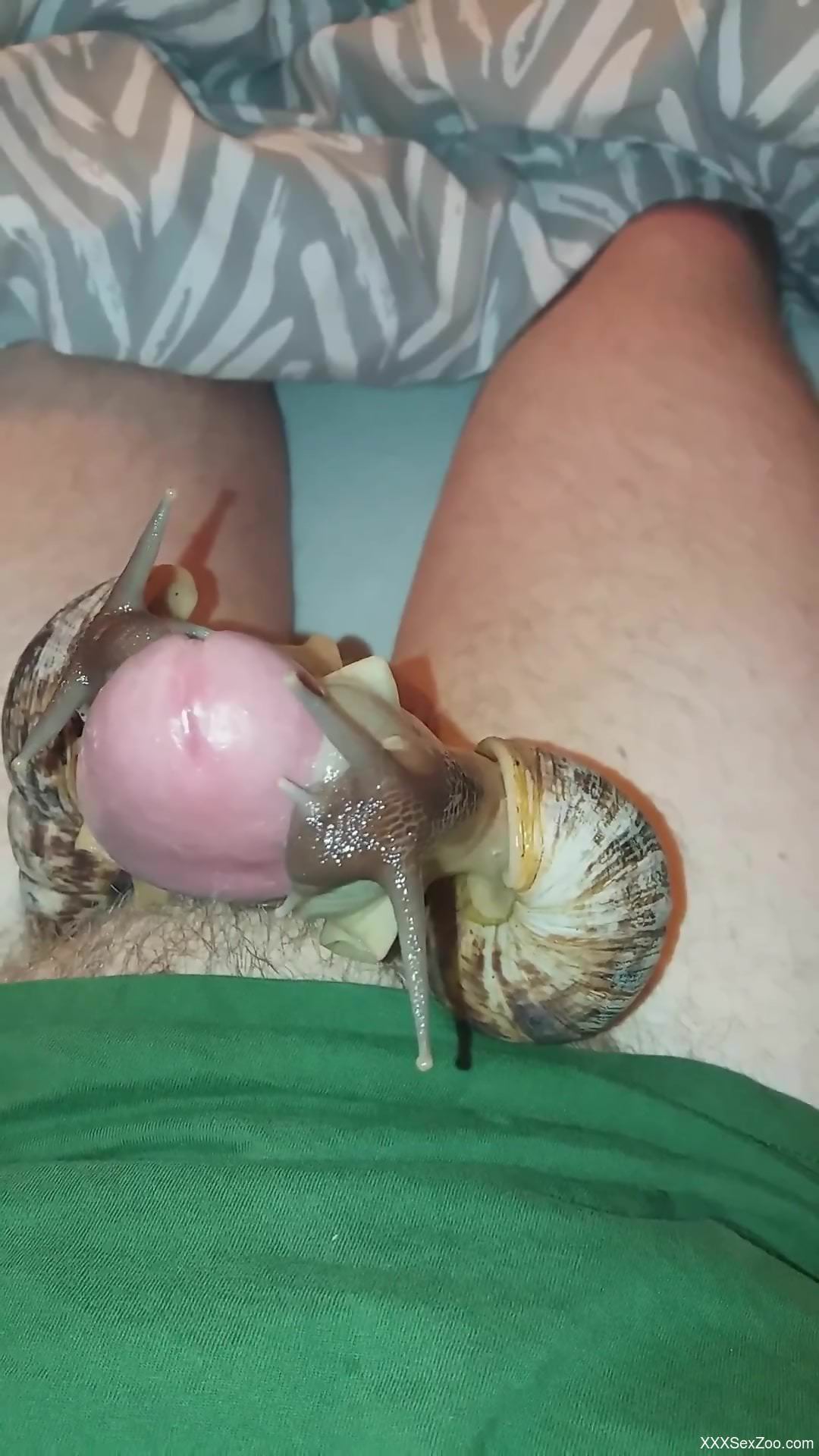 Thirsty dude gets his cock covered in snail juice