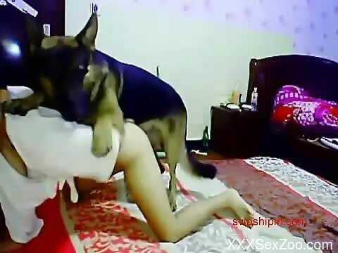 Steamy Asian babe shoves the dog's dick down the muff