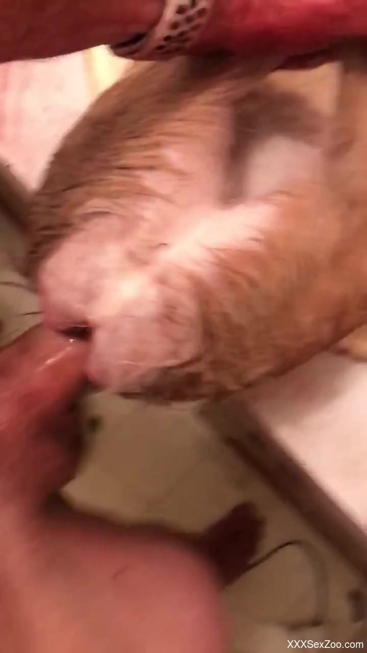 Animal sex in the sink after a bit of hard jerk off