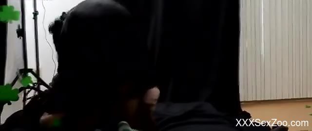 Compilation of hardcore zoo sex with a skinny coed