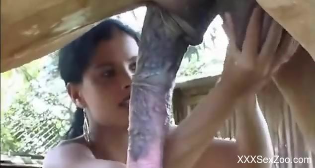 Raven-haired Latina bends over to get boned by a stallion