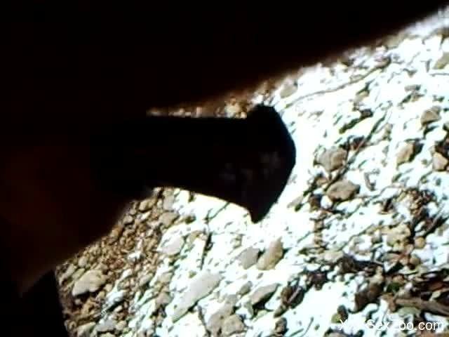 Operator films massive erect fuckstick of his black stallion