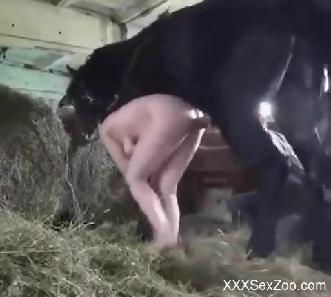Big boobs babe getting fucked by a hung stallion
