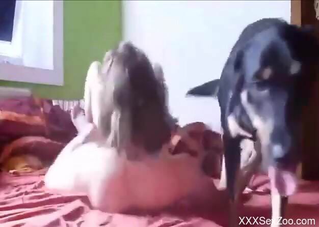 Aroused sluts form a spicy compilation with pure zoophilia