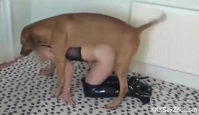 Latex-wearing blonde gets creampied by her canine lover