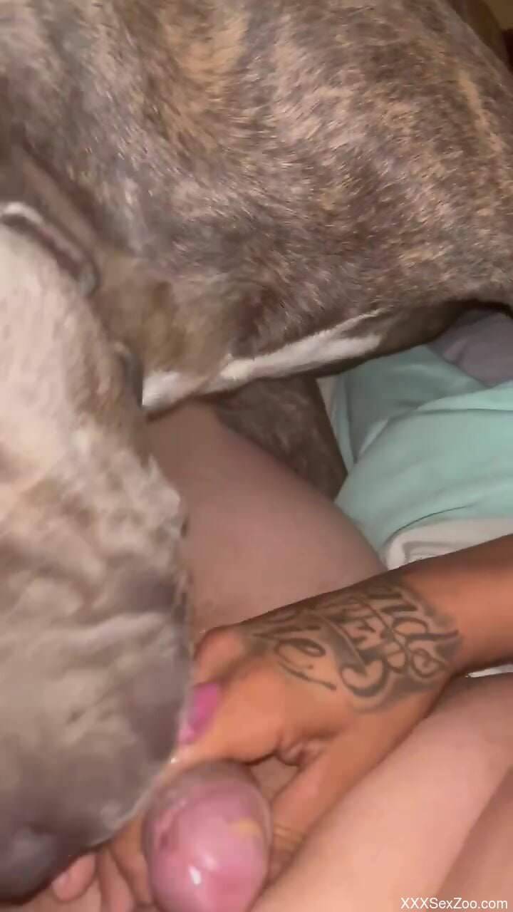 Aroused man plays with his dog in slutty zoophilia scenes