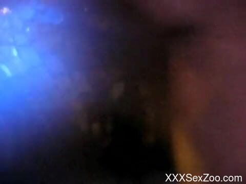 Nude zoophilia scenes reveals man's desire to fuck