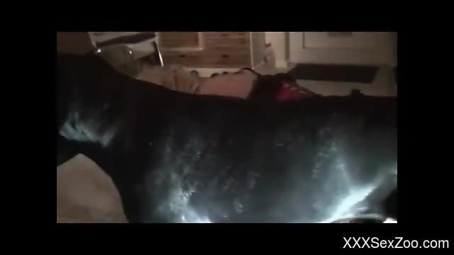 Nude woman feels entire dog penis into her pussy