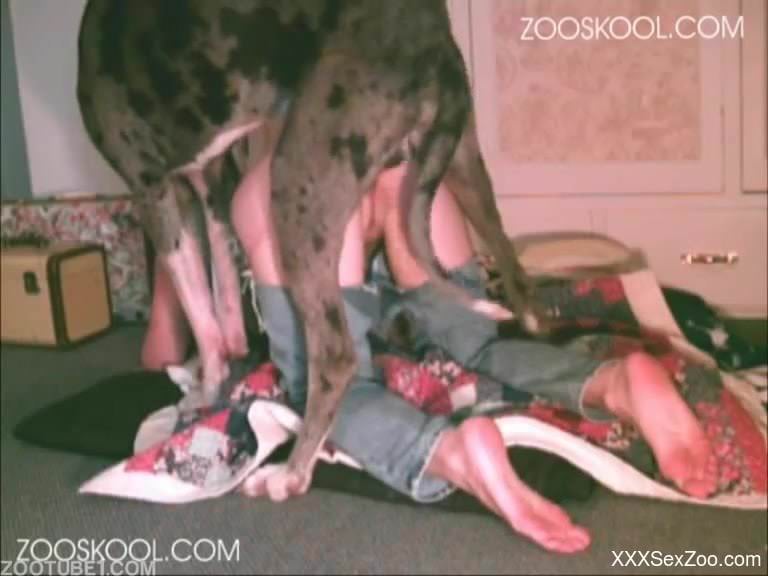 Ripped jeans chick gets fucked from behind by a dog