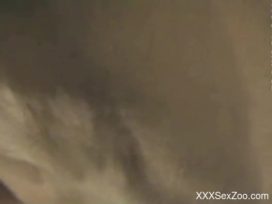 Brunette getting banged by a thirsty doggo from behind