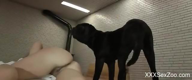 Black dog with a hard cock creampies a blonde