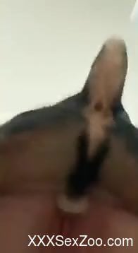 Dog fucks a zoophile from behind and it's beautiful