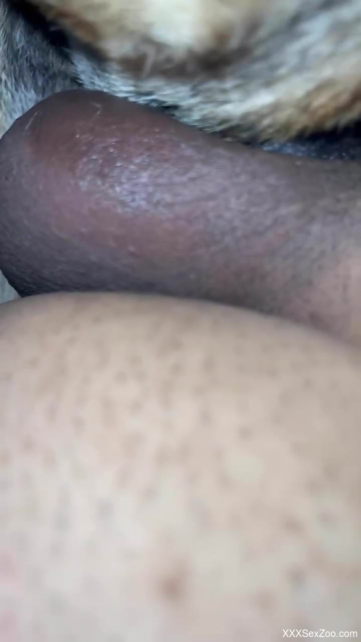 Hot guy's hard cock is being used for zoo pleasure