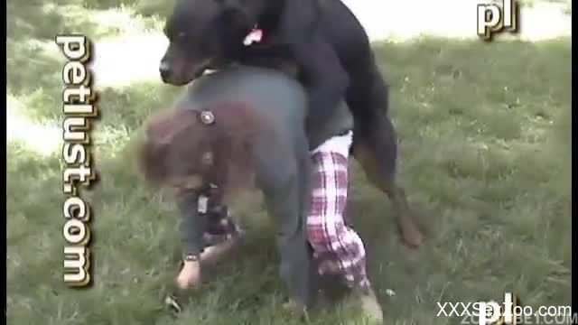 Stunning homemade dog porn with a big black beast and owner