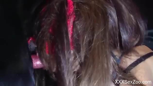 Naked babe plays obedient in full zoophilia maledom