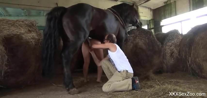 Wonderful pornographic scene with the best bitches that fuck