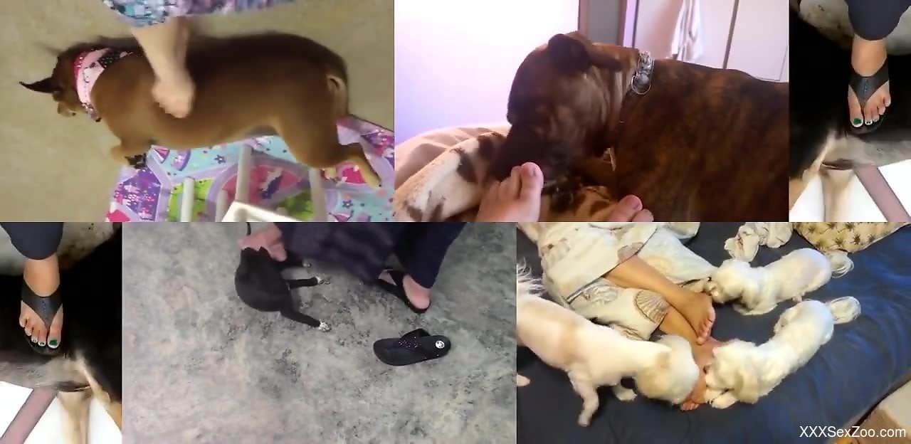 Aroused female shares sexy homemade zoophilia perversions on cam