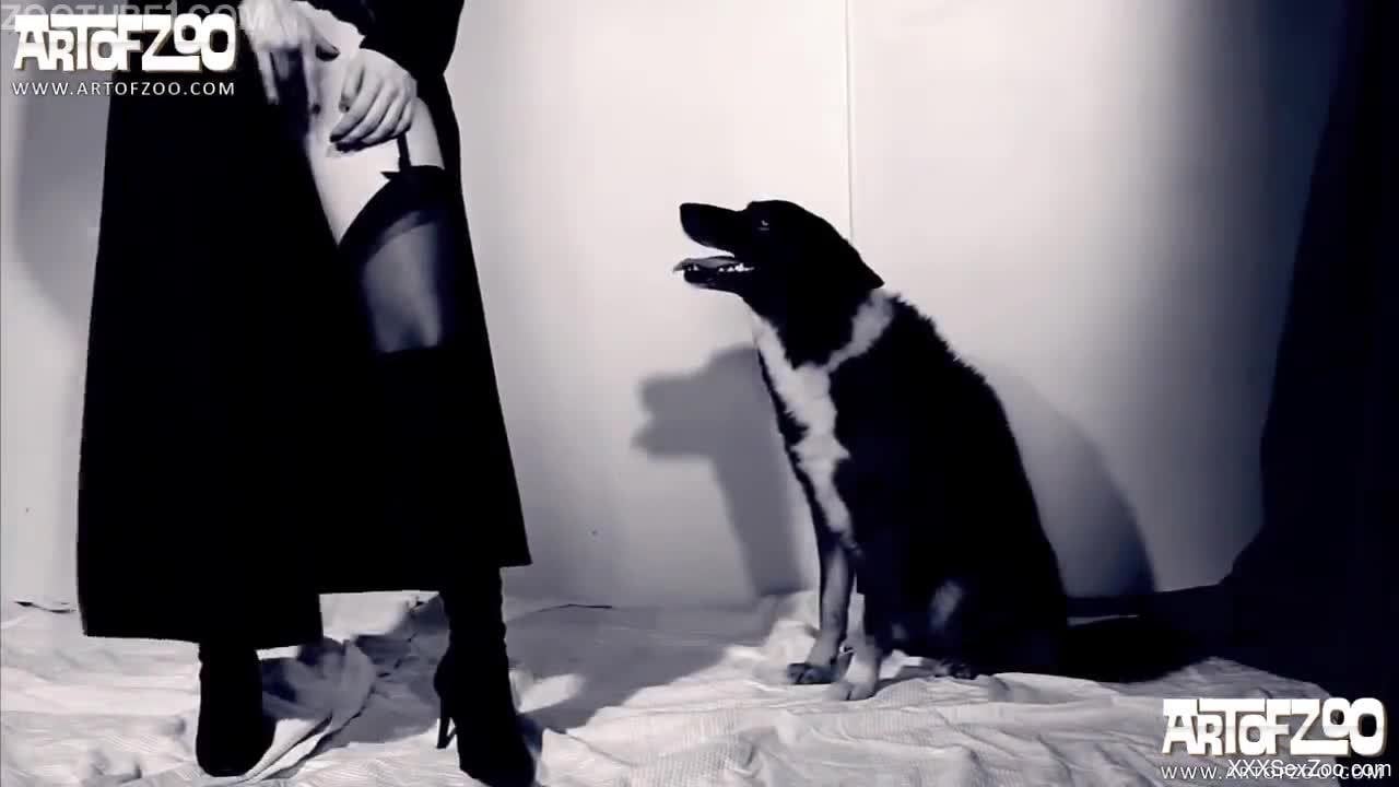 Sexy ass woman fucked in her shaved twat by dog in heats