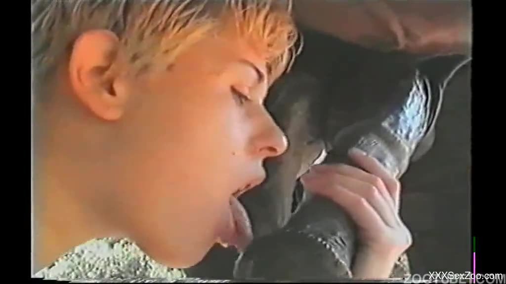 Short-haired blonde sucks and jerks a big stallion dick