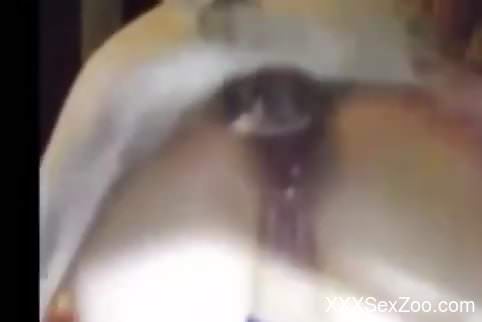 Amateur women are on the edge of getting laid with a dog