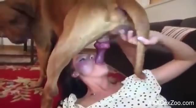 Compilation of the hottest bestiality blowjobs ever