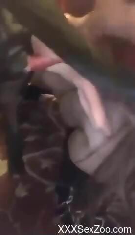 Sexy female plays with the dog's dick in intense kinks