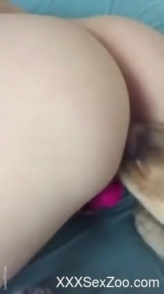 Dog licks woman's ass and tries to fuck her