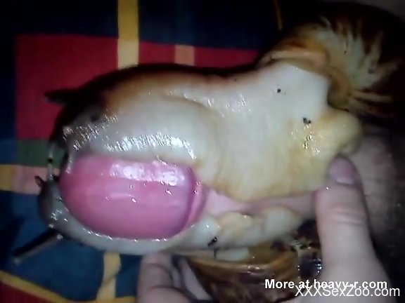 Dude gets to snails to slither on his uncut cock