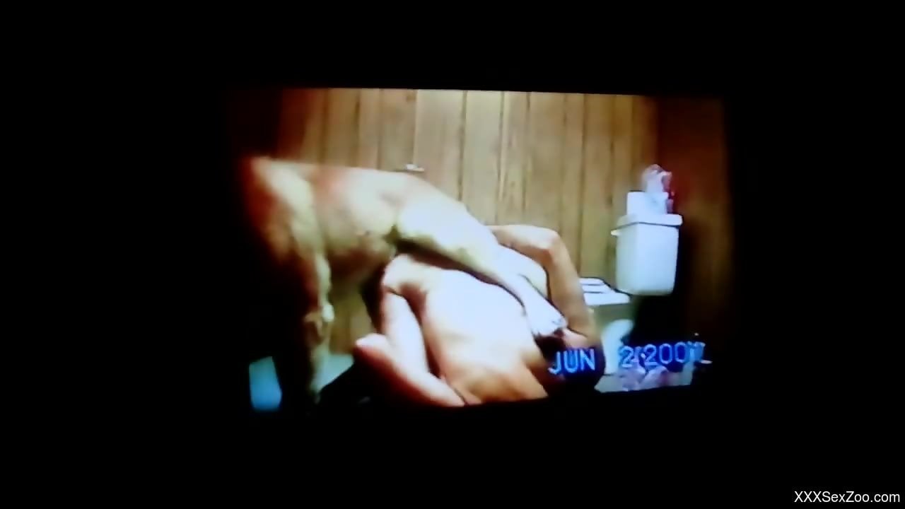 Unceremoniously brutal doggy style fuck with a dog