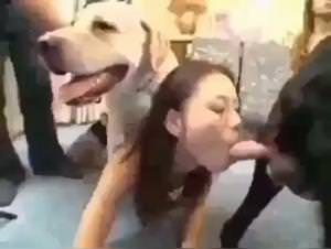 Mylene Unleashes with Dogs: Extreme Pet Play