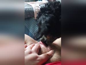 Extreme dog porn videos