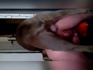 MILF fucks large dog dick tight pussy