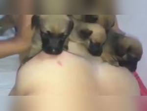 Woman breastfeeding husky, beastly pleasure