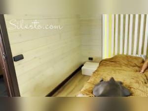 Veronica Silesto: Extreme Dog Sex, Animal Pornography