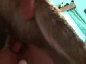 Dirty Blonde Mounted Dog Vibe