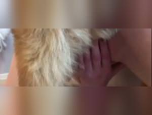 Un primal urge: fucking a wild dog