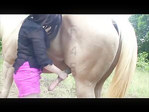 Bestial encounter between a vixen and a horse