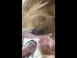 Zoophilia: The test tubes of the tick zoo