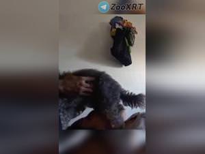 Hot Girl Dog Blowjob, Extreme XXX Leaks