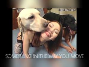 Woman Dog Sex Mix - Extreme Footage
