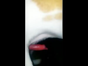 Fucking doggies in diapers and a Latina pussy with her dog