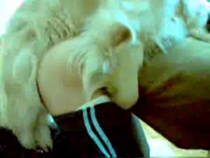 Crazy Horse Woman Dog Part 7