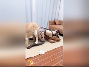 Chinese dog fuck pt3 hardcore